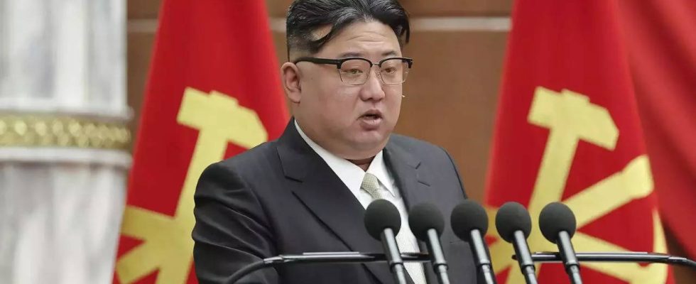 Nordkoreas KI Entwicklung gibt Anlass zur Sorge heisst es in einem