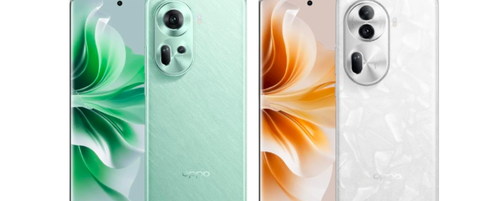 Oppo Reno 11 vs Reno 11 Pro Welches kaufen