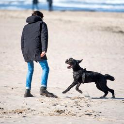 Schoener Wintertag mit viel Sonne und keinem Regen Wettervorhersage