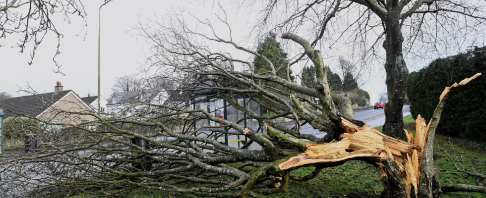 Sturm Isha stoert Fluege Passagiere wachen im „falschen Land auf