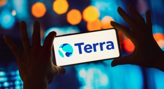 Terraform Labs meldet Insolvenz nach Kapitel 11 an