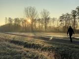 Ueberwiegend sonniger und milder Montag startet neu Wettervorhersage