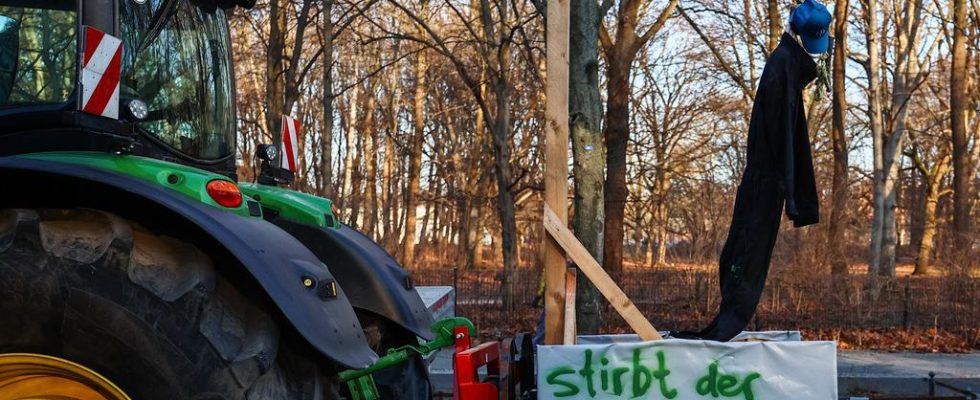 Warum deutsche Bauern massenhaft gegen die Agrarpolitik demonstrieren Im