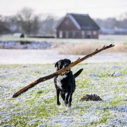 Woechentliche Wettervorhersage Kaltes und trockenes Winterwetter ab Donnerstag etwas waermer