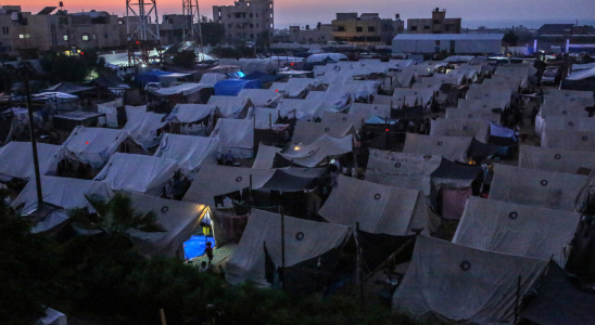 „Die Bewohner des Gazastreifens fressen Gras und trinken verschmutztes Wasser