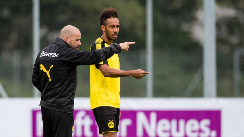 1708407931 513 Wie PSV Trainer Bosz in Dortmund schnell starb „Spieler liessen es