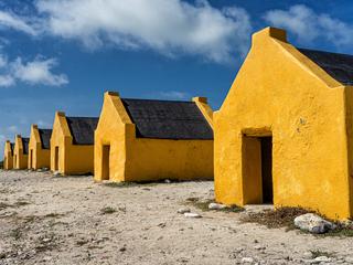 Inwoners Bonaire en Greenpeace willen klimaatactie en klagen de staat aan