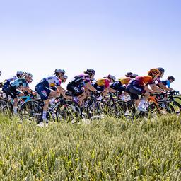 Bizarrer Betrug im Radsport Peloton Mechaniker verkleidet sich als Fahrer