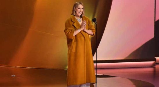 Celine Dion beehrt Grammys und Taylor Swift mit ihrer Anwesenheit