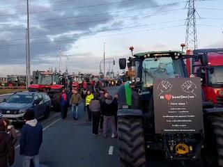 Flaemische Regierung schliesst Abkommen mit Landwirten nach langen Verhandlungen