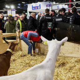 Franzoesische Landwirte stuermen Landwirtschaftsmesse auf der Praesident Macron anwesend ist