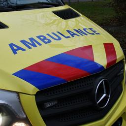 Frau nach Kollision in Valkenswaard verletzt und Hund tot Autofahrer