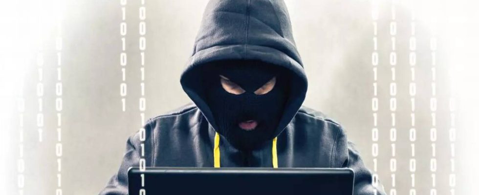 Gezielte Ransomware Gruppen nehmen an Zahl und Raffinesse zu