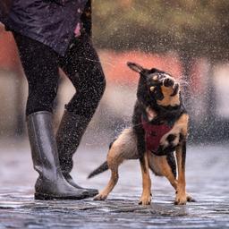 Grosse Unruhen mit viel Regen werden ueber unserem Land liegen