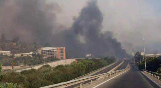 In Zentralchile wueten Waldbraende bei denen mindestens 64 Menschen ums