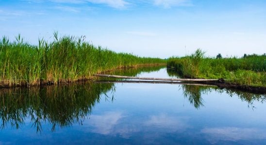 Jahr nach harter Nachricht ist die Zukunft der suedhollaendischen Landwirte