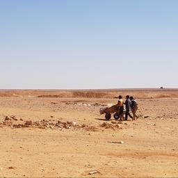 Mindestens vierzehn Tote nach Landminenexplosion in der syrischen Wueste