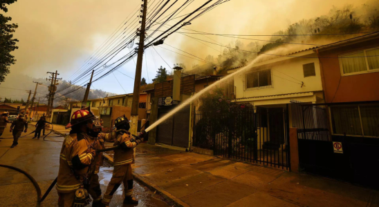 Neueste Updates zu verheerenden Waldbraenden in Chile 120 Todesopfer Rettungsaktion