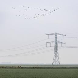 Rund 140000 Euro Schaden nach Spannungsspitze durch Kupferdiebstahl in Oude