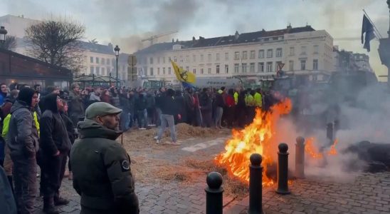 Schwere Unfaelle aufgrund belgischer Bauernblockaden Rutte spricht mit Bauern