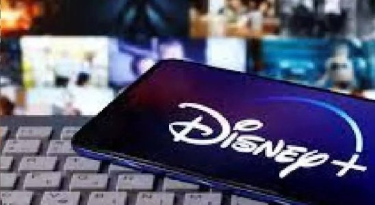 So viel Geld hat die ICC Weltmeisterschaft 2023 Disney India gekostet