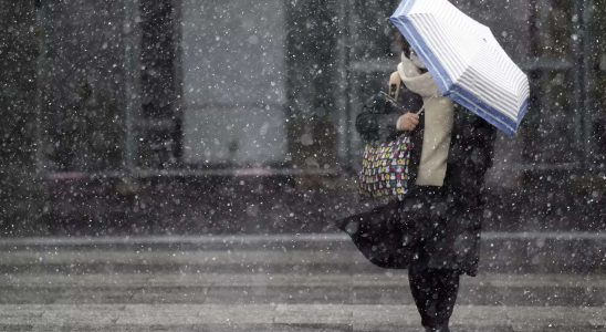 Starker Schneefall im Grossraum Tokio fuehrt zu Zug und Flugbehinderungen