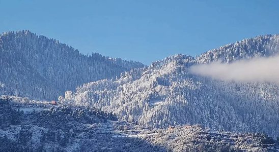 Stuerme lassen in Nord Arizona heftigen Schneefall fallen nachdem sie in