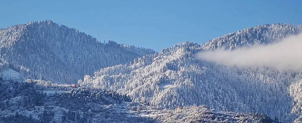 Stuerme lassen in Nord Arizona heftigen Schneefall fallen nachdem sie in