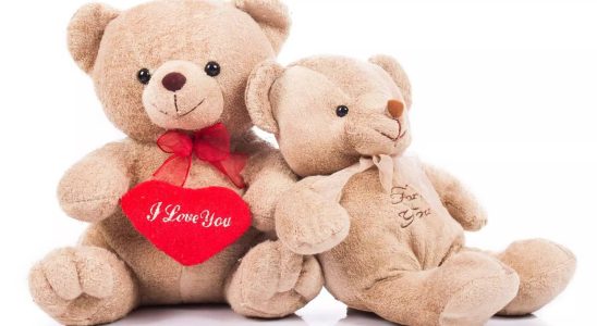 Teddy Day 2024 Top WhatsApp Sticker Facebook Status Instagram Story zum Teilen am