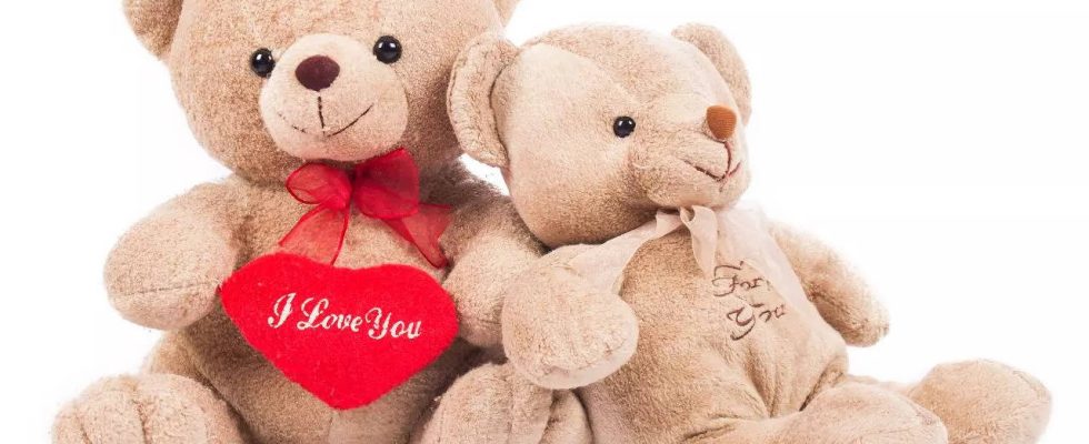 Teddy Day 2024 Top WhatsApp Sticker Facebook Status Instagram Story zum Teilen am