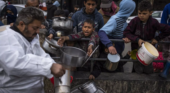 Tote Pferde Abfaelle Die Hungerkrise in Gaza verschaerft sich waehrend