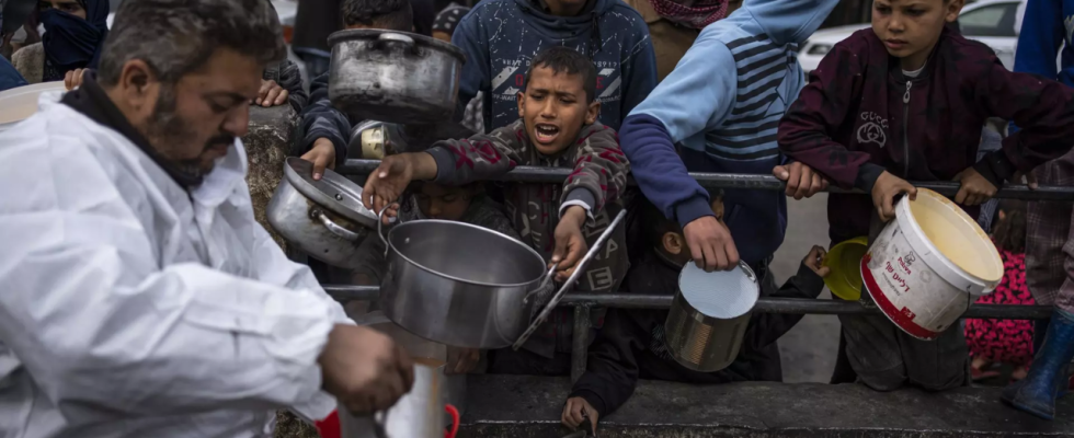 Tote Pferde Abfaelle Die Hungerkrise in Gaza verschaerft sich waehrend