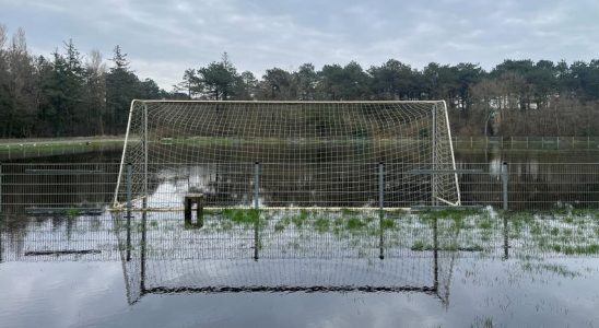 Warum der hohe Grundwasserspiegel eigentlich eine gute Nachricht ist