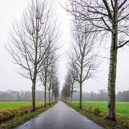 Wettervorhersage Heute ist es hauptsaechlich grau aber weich