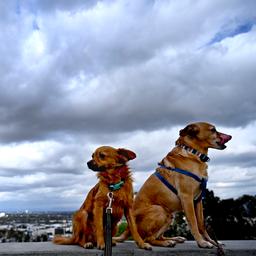 Wettervorhersage Im Moment ist es noch grau aber das wird