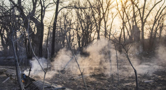 Wildfire entwickelt sich zum zweitgroessten Brand in der Geschichte von