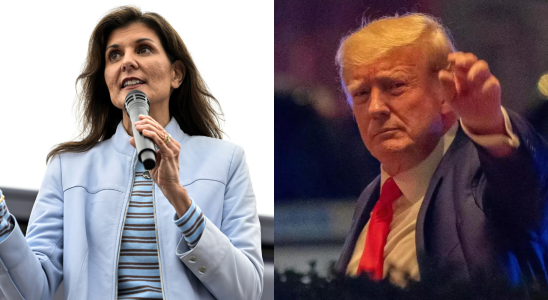 „Sag es mir ins Gesicht Nikki Haley sagt es Trump