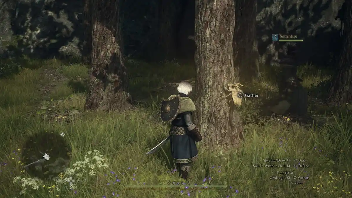 Goldener Käfer in Dragon's Dogma 2