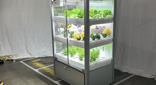 Babylon Micro Farms bringt vertikale Landwirtschaft in die K 12 Klassen