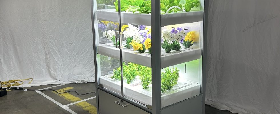 Babylon Micro Farms bringt vertikale Landwirtschaft in die K 12 Klassen