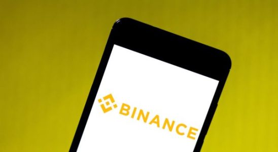 Binance stellt Naira Dienste aufgrund laufender behoerdlicher Untersuchungen in Nigeria ein