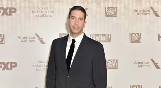 David Schwimmer wird Ihnen Gaensehaut bereiten