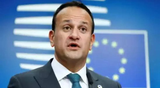 Der indischstaemmige Leo Varadkar tritt als irischer Premierminister zurueck Berichte