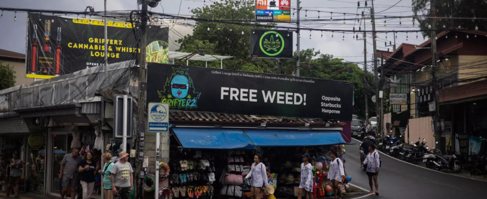 Die thailaendische Cannabiskultur koennte ein Ende finden wenn die Regierung