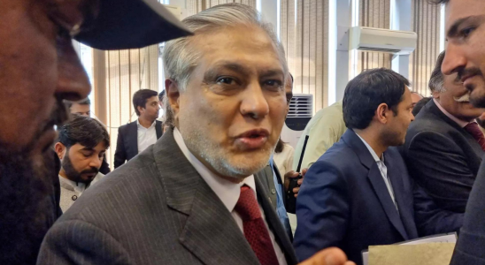 Ishaq Dar zum neuen Aussenminister Pakistans ernannt