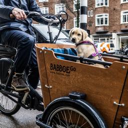 Lastenfahrradhersteller Babboe darf Whistleblower nicht vom Richter entlassen Wirtschaft