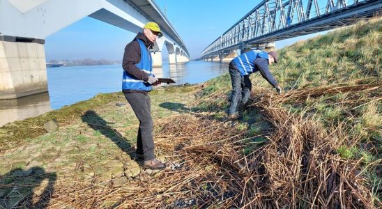 Nach extremem Hochwasser offenbaren die Ufer die Plastiksuppe in unseren