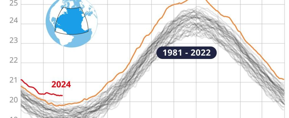 Rekordhitze in den Ozeanen seit einem Jahr „Anzeichen dafuer dass