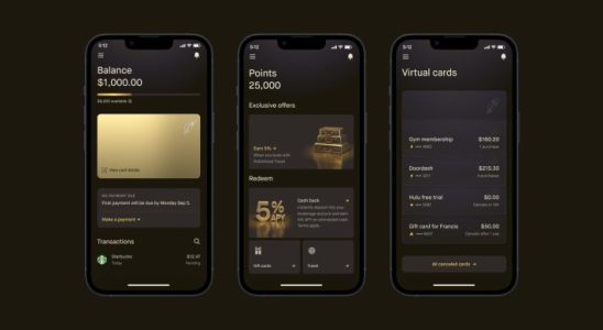 Robinhoods neue Gold Card BaaS Herausforderungen und das kleine Startup das