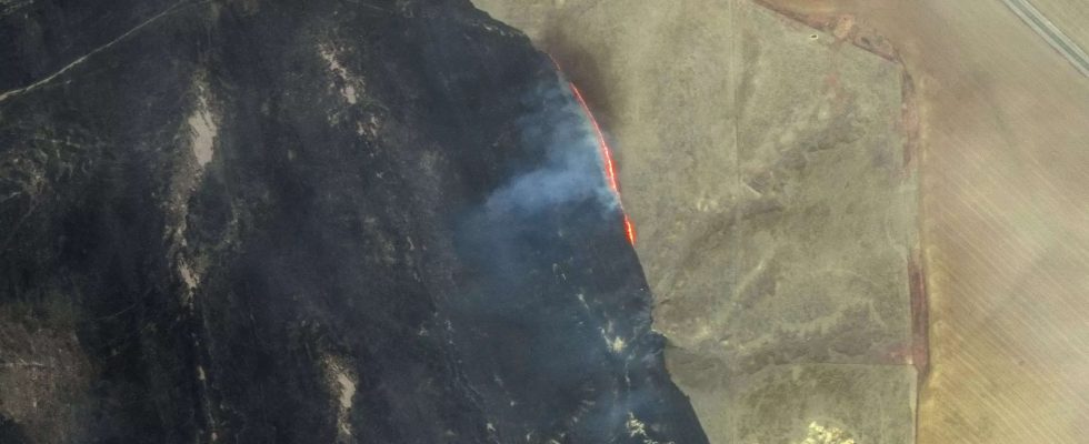 Waldbrand in Texas Groesster Brand in der Geschichte von Texas